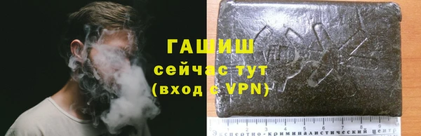 прущие грибы Армянск