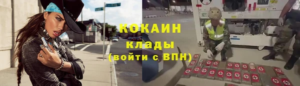 прущие грибы Армянск