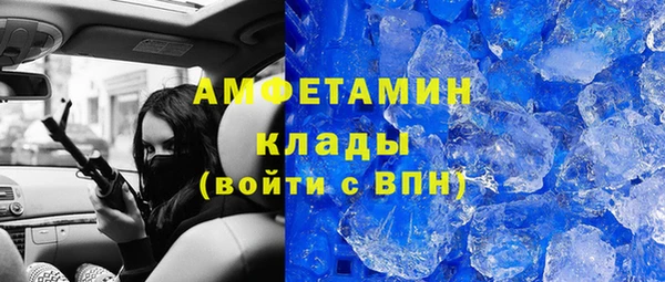 прущие грибы Армянск