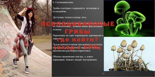 прущие грибы Армянск